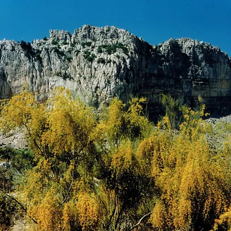 Ferienhaus Guest House In A Traditional Andalusian Country Estate